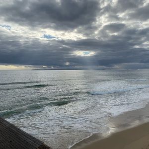 Meet your Posher, Laney